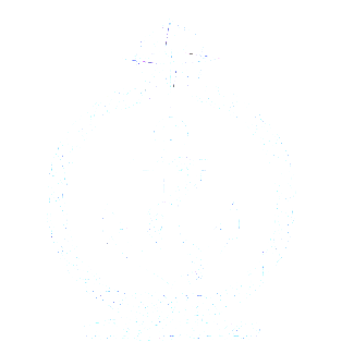 LADY KMARINE